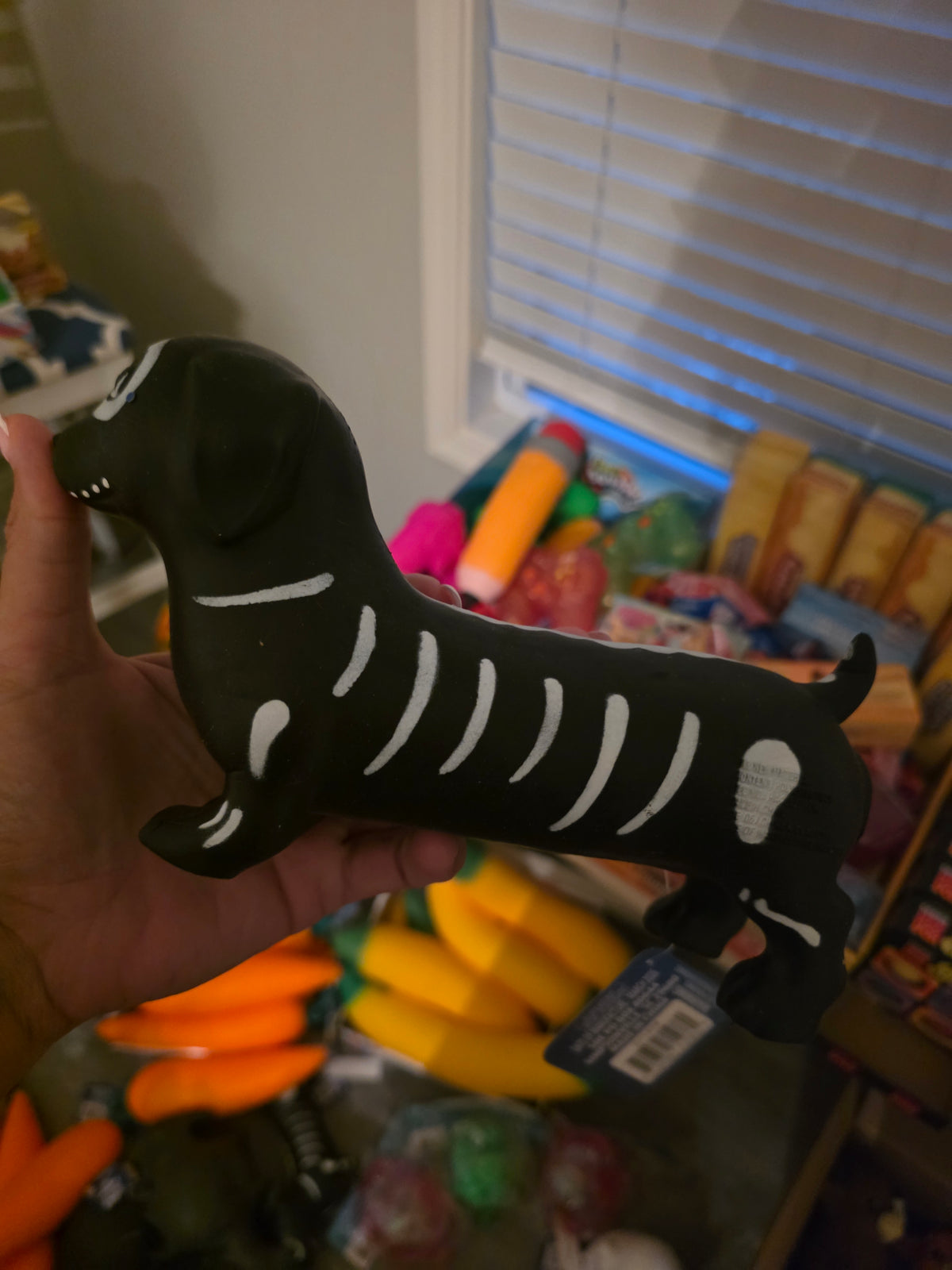 Halloween Wiener Dog Squishy